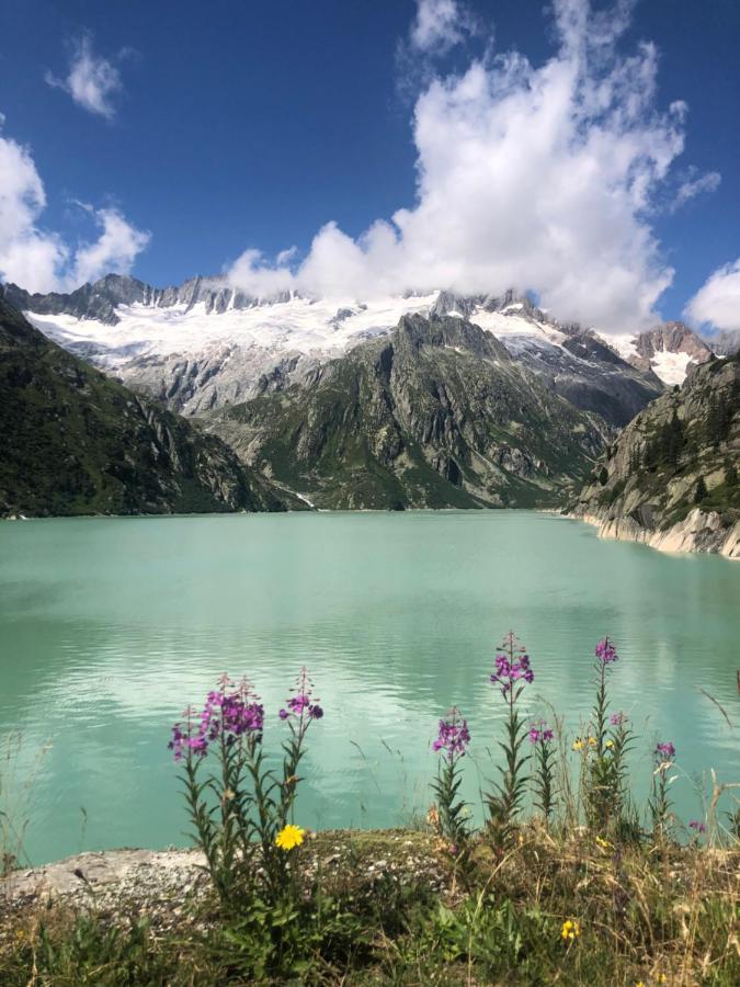ゲシェネンAlpine Hausアパートメント エクステリア 写真